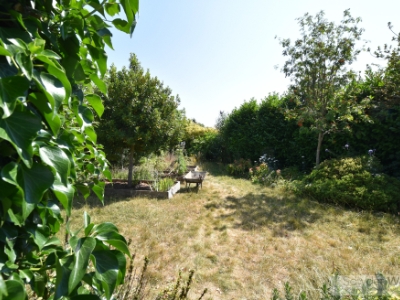 Picture 19